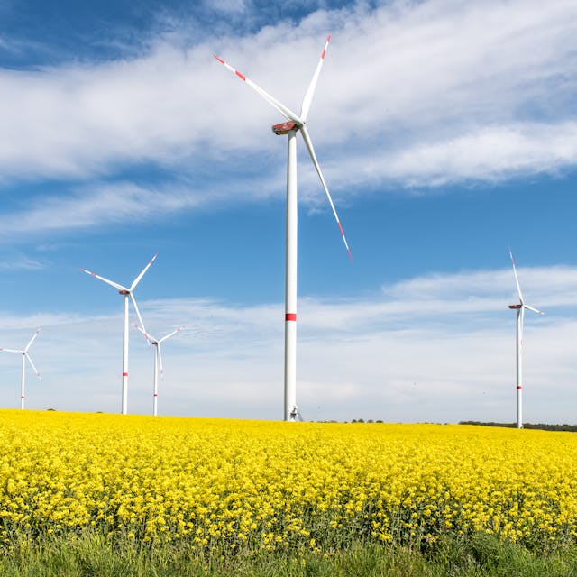 Pexels Wolfgang Weiser 467045605 31140640